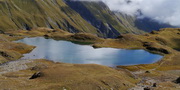 lac cornu